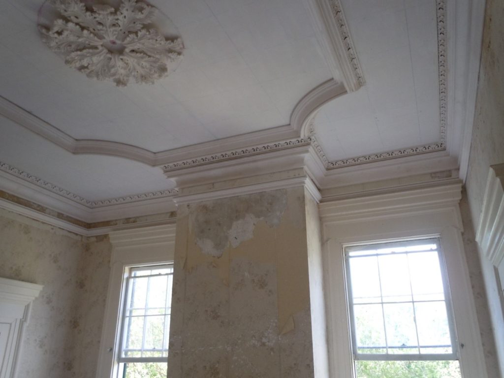 Dining Room Ceiling and Cornice Partially Finished