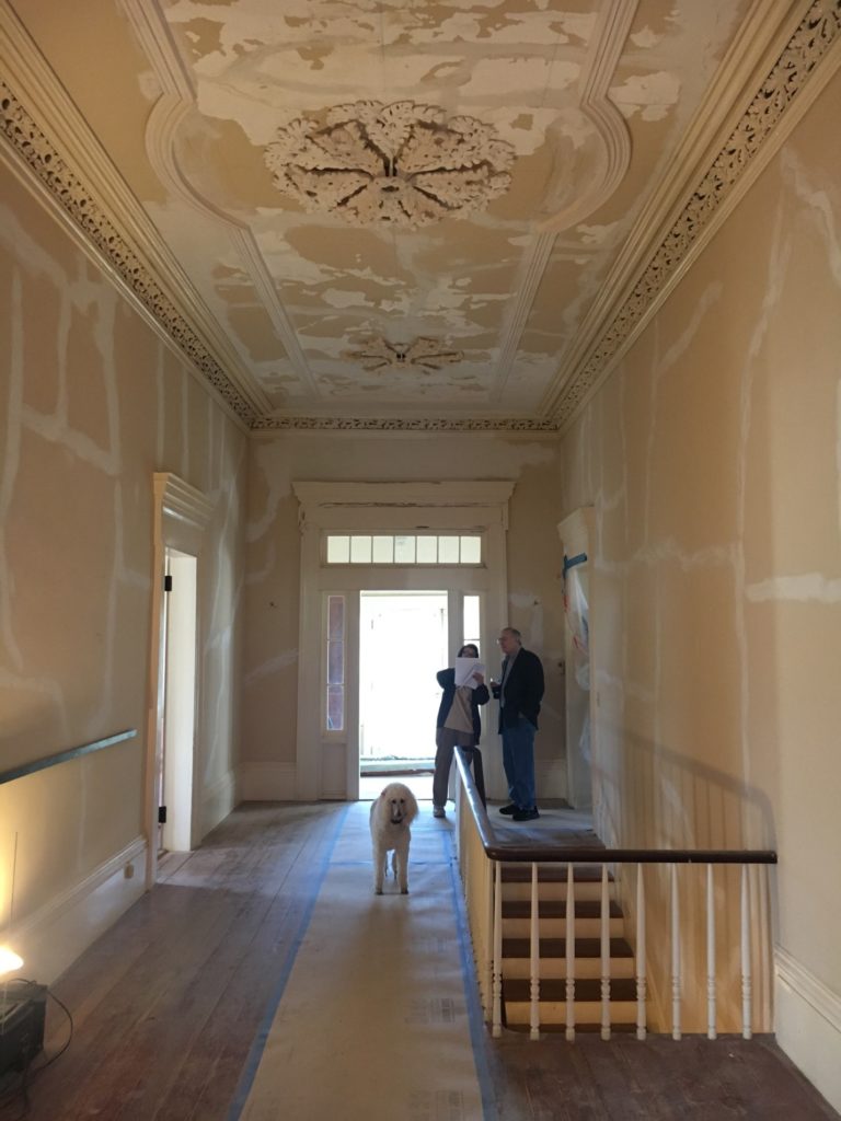 Looking from front to back of House Hallway showing Ceiling Moulding and Ceiling Medallions
