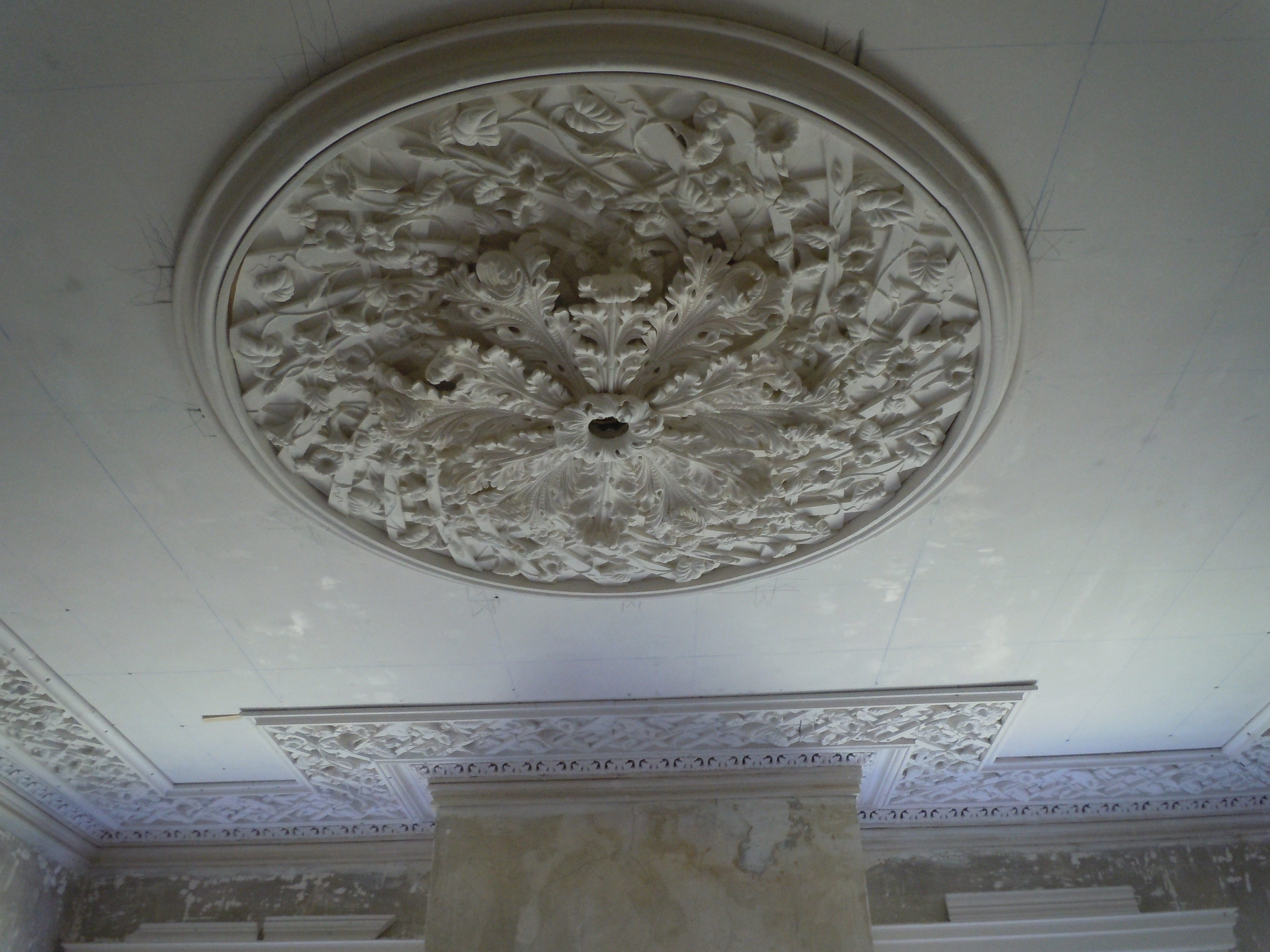 Center ceiling medallion, front room, installed August 2018.