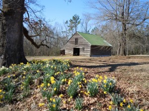 Barn 